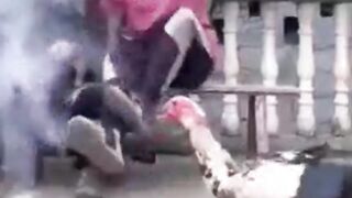 ها قد فعلها الديك الرومي