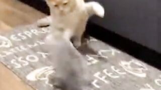 من يخاف من الآخر انقلبت الموازين