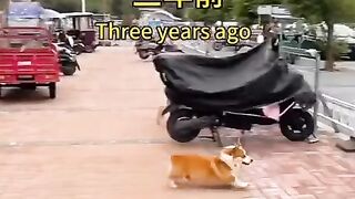 Aging