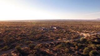 Poachers Try to Capture Pangolins | Natural World