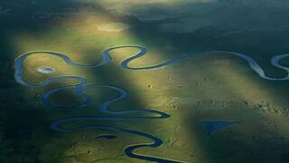 Hippos Can’t Swim? | Natural World