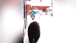 These Animals Reunited With Owners After Years !