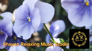 Soothing deep Sleep music