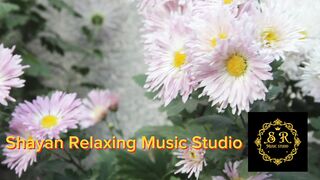 Stress relief for deep sleep music