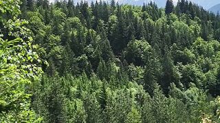 Mountains