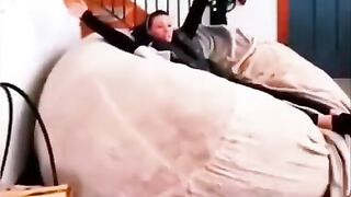 funny animals video