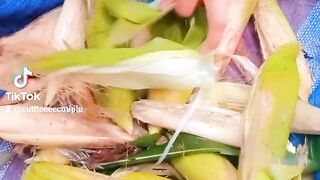Maki ki chali