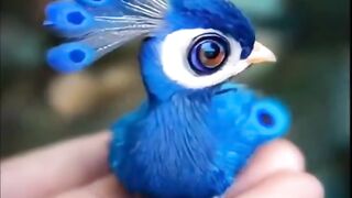 do you understand what bird this is