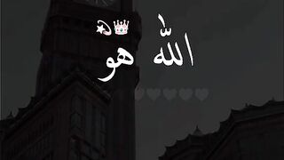 Allah Hu Allah???????????????????? please aap sab se gujarish hai mere pet ko like and subscribe Jarur Karen