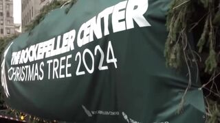 The Rockeffeller
