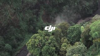Endorse Drone