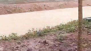 Sudah mulai kerap turun hujan waspadai penyakit jamur pada ikan lele