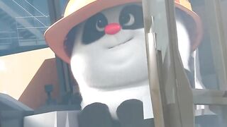 cute panda