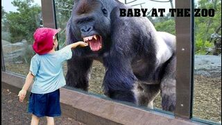 TRY NOT TO LAUGH