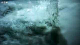 Eel Suffers Toxic Shock | Blue Planet