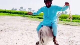 Funny