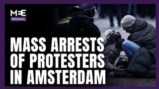 Dozens of pro-Palestine protesters arrested in Amsterdam following protest ban