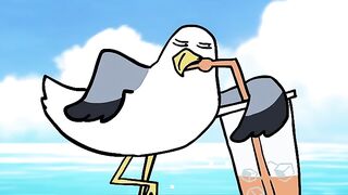 luffy and bird