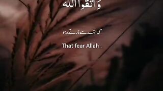Quran ayat