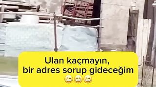 Oyun İstiyor Abisi ????.