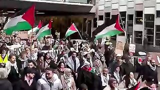 Massive protest is taking place in Utrecht, Netherlands, for Palestine