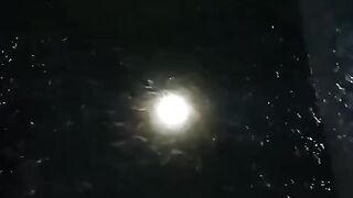 Ngasih makan ikan lele malam hari emang seru apalagi malam hari