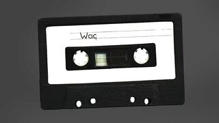 Mix Tape_ Waqar Younis sending stumps flying.
