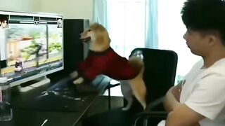 Mad Gamer Alert! #f