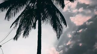 Tu hai kahan lyrical status - Best video status.