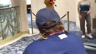 Service dog meets his favorite Disney character