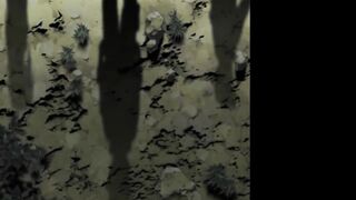 Naruto (Dub) Episode 5: "You Failed! Kakashi's Final Decision"