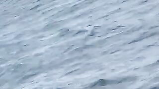 passenger ship sank part.1