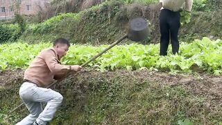 Amazing funny video