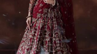 Pakistani Wedding dresses