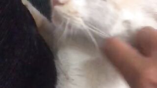 Milo so cute i love him so much