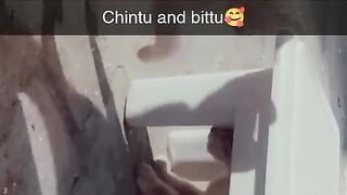 Cute kitten