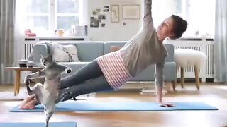 Funny clip