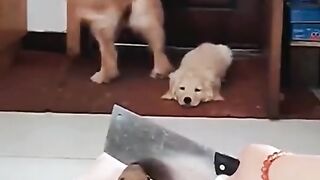 Funny