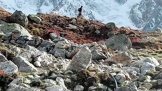 Beautiful Pakistan