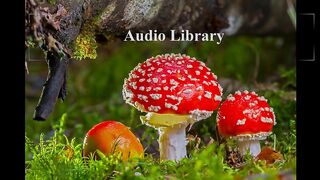 Flying High – FREDJI (No Copyright Music)