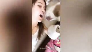 The Funniest Dog Reactions Ever | Funny Pets Videos Compilation