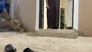 Interesting# funny