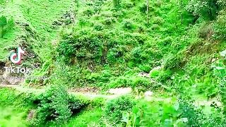 Very nice kashamir