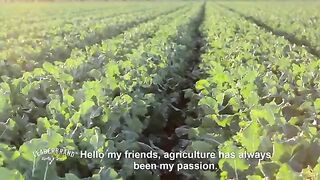 Agriculture