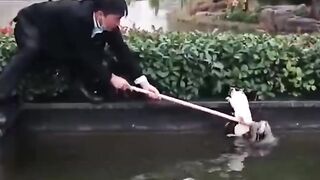 dog help