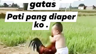 Baby fight