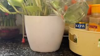Yeh hai Quick and Simple Sandwich | Breakfast Buffet