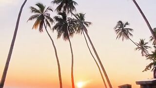 Beutiful sunset
