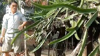 ăn tất cả ít ai biết đặt sản sản quê mình