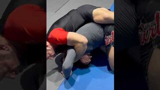 Power Half Nelson From Turtle